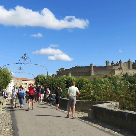 Tout confort ! Calme, Piscine, Parking Gratuit, Terrasse, Wifi Carcassonne Esterno foto
