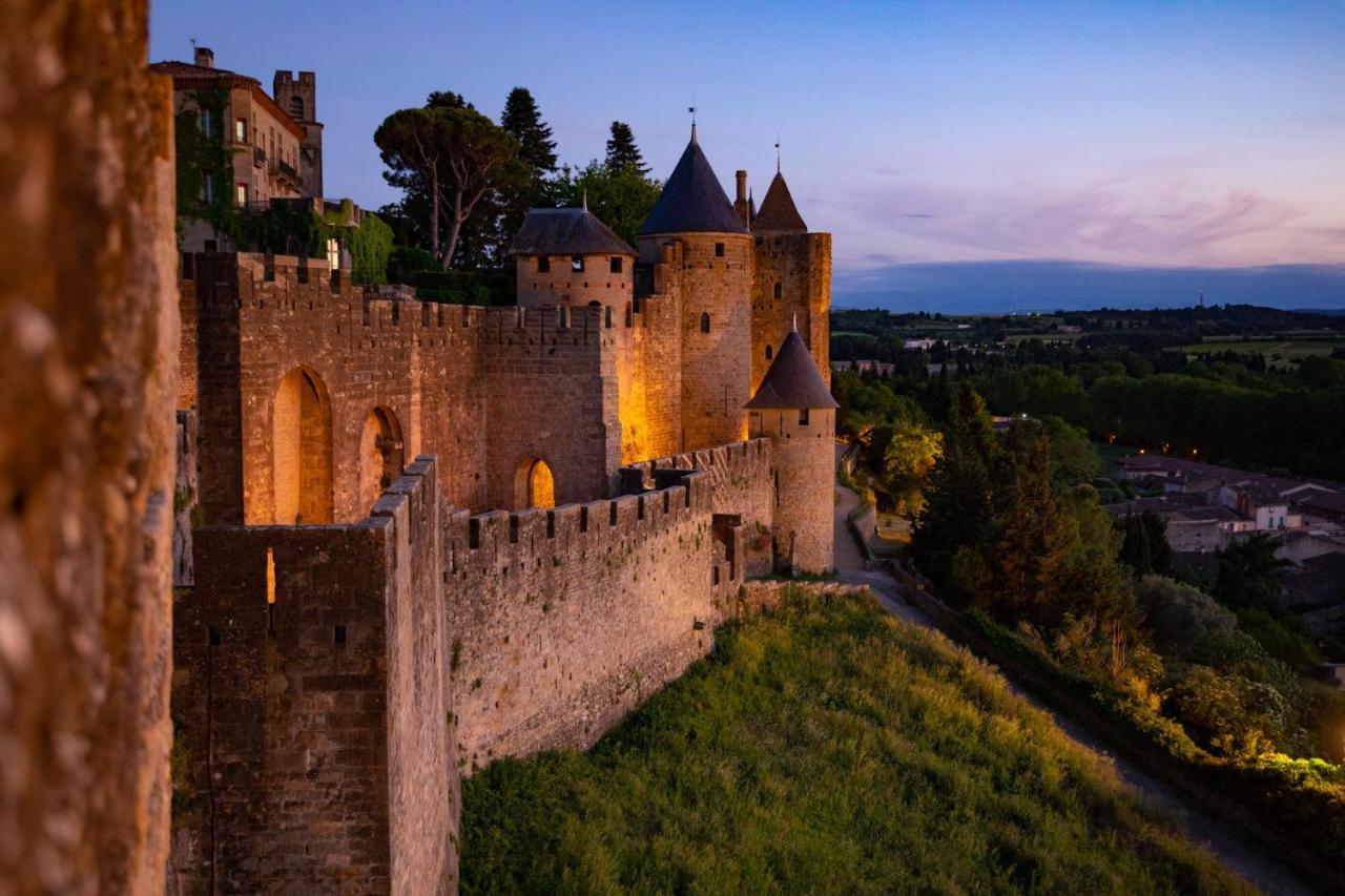 Tout confort ! Calme, Piscine, Parking Gratuit, Terrasse, Wifi Carcassonne Esterno foto