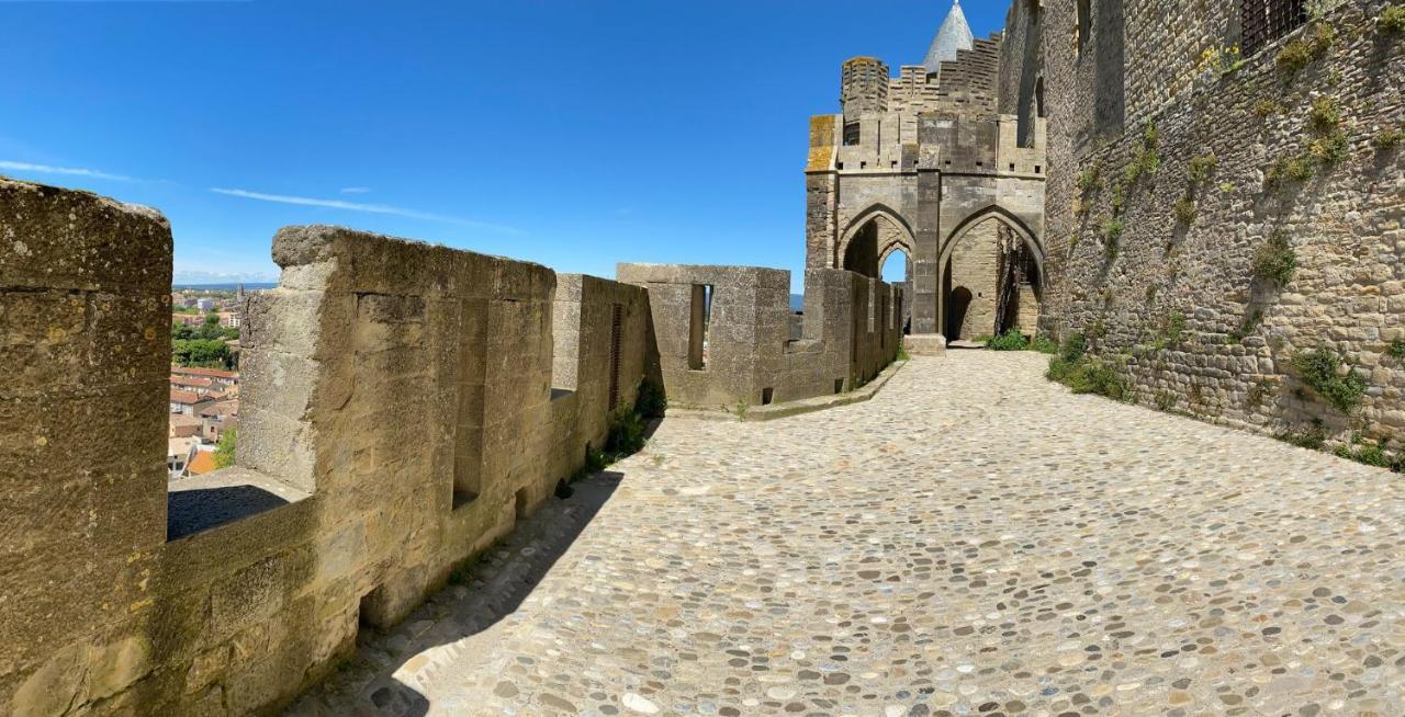 Tout confort ! Calme, Piscine, Parking Gratuit, Terrasse, Wifi Carcassonne Esterno foto
