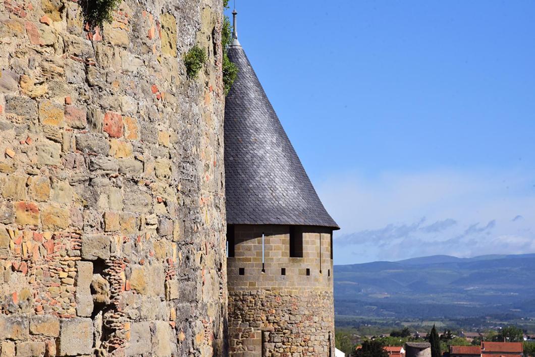 Tout confort ! Calme, Piscine, Parking Gratuit, Terrasse, Wifi Carcassonne Esterno foto