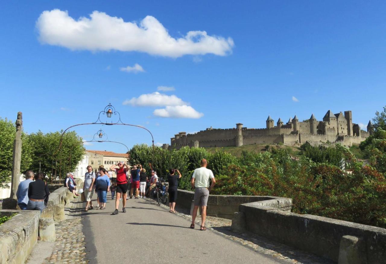 Tout confort ! Calme, Piscine, Parking Gratuit, Terrasse, Wifi Carcassonne Esterno foto