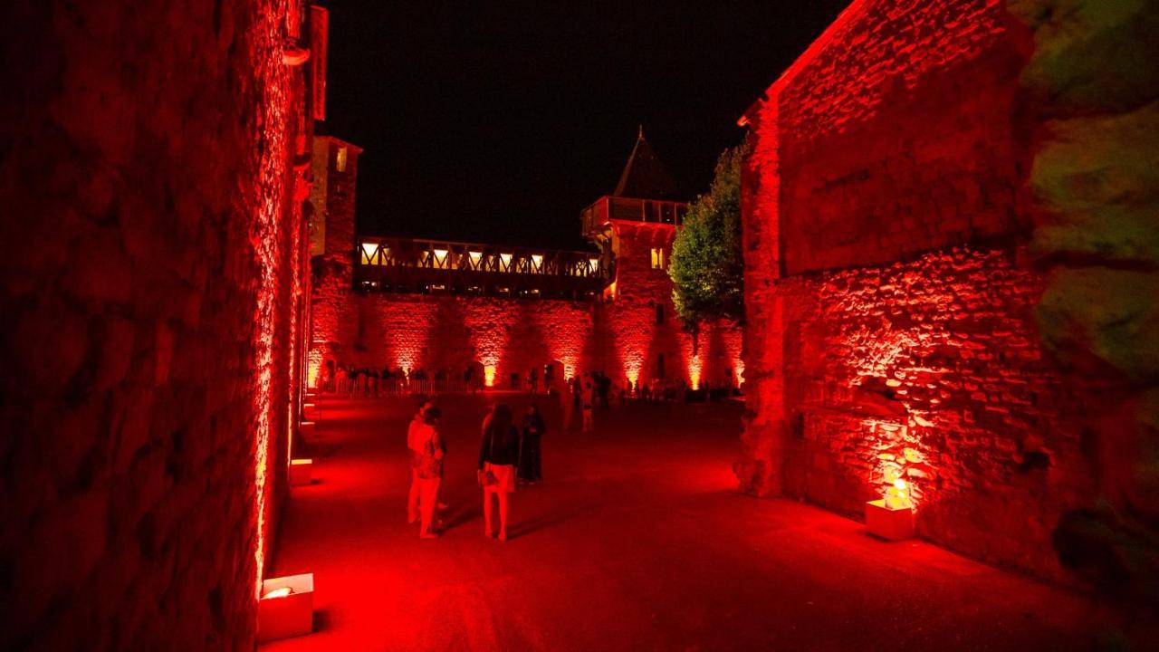 Tout confort ! Calme, Piscine, Parking Gratuit, Terrasse, Wifi Carcassonne Esterno foto