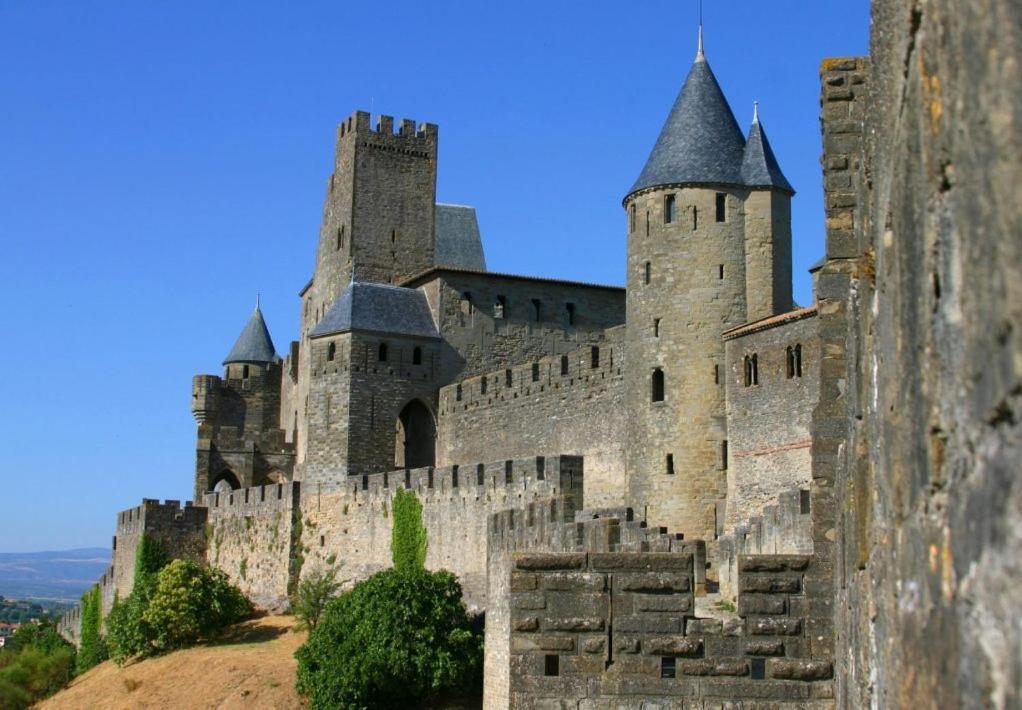 Tout confort ! Calme, Piscine, Parking Gratuit, Terrasse, Wifi Carcassonne Esterno foto