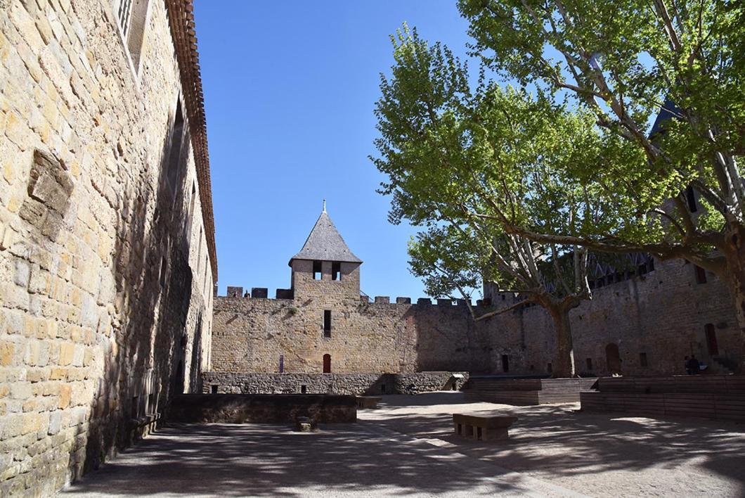 Tout confort ! Calme, Piscine, Parking Gratuit, Terrasse, Wifi Carcassonne Esterno foto